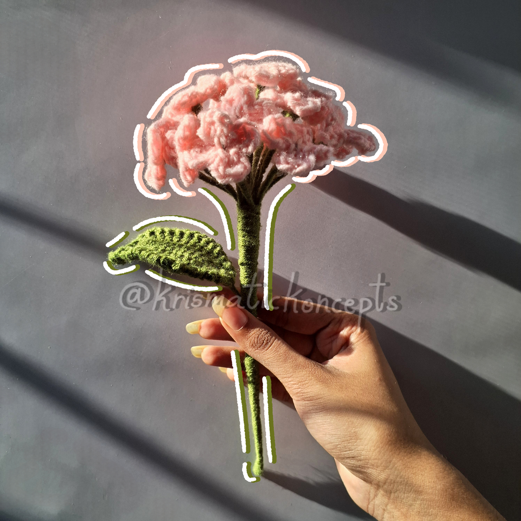 Hydrangea