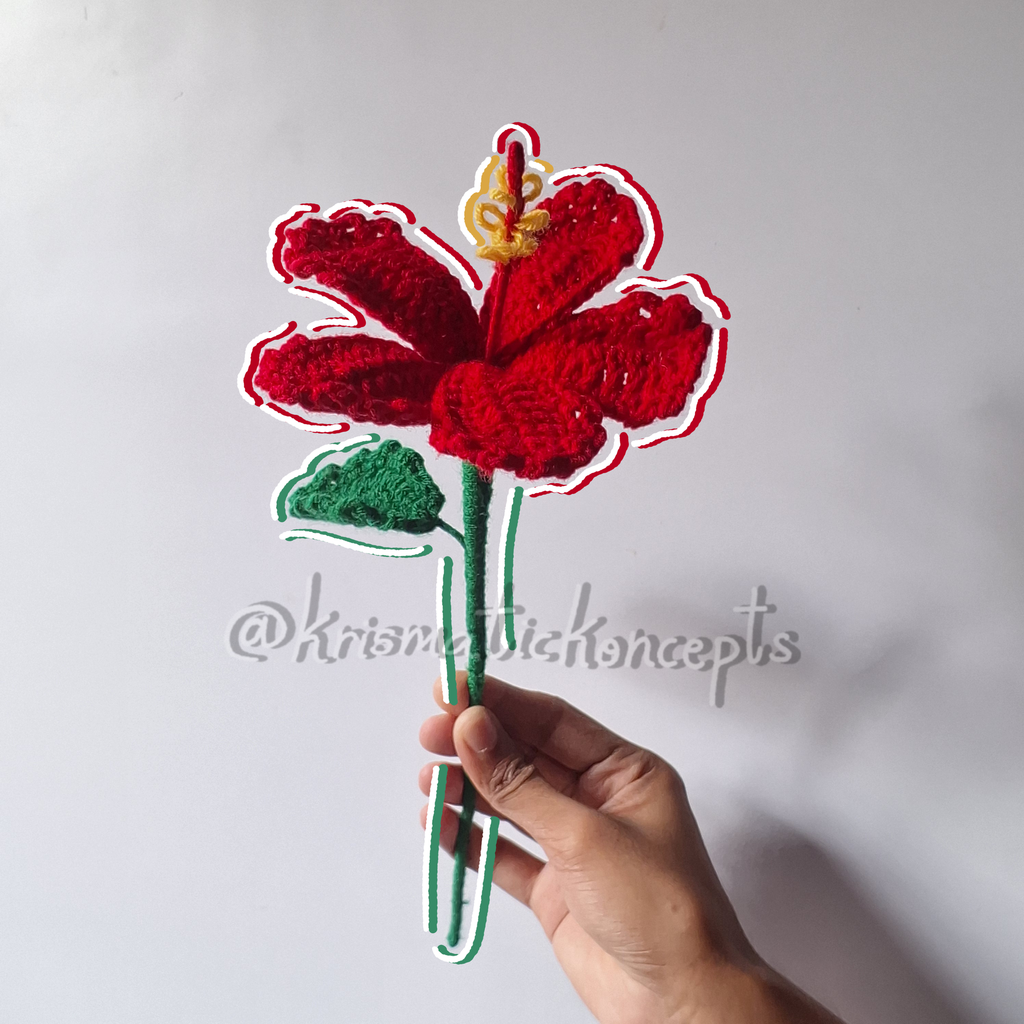 Hibiscus
