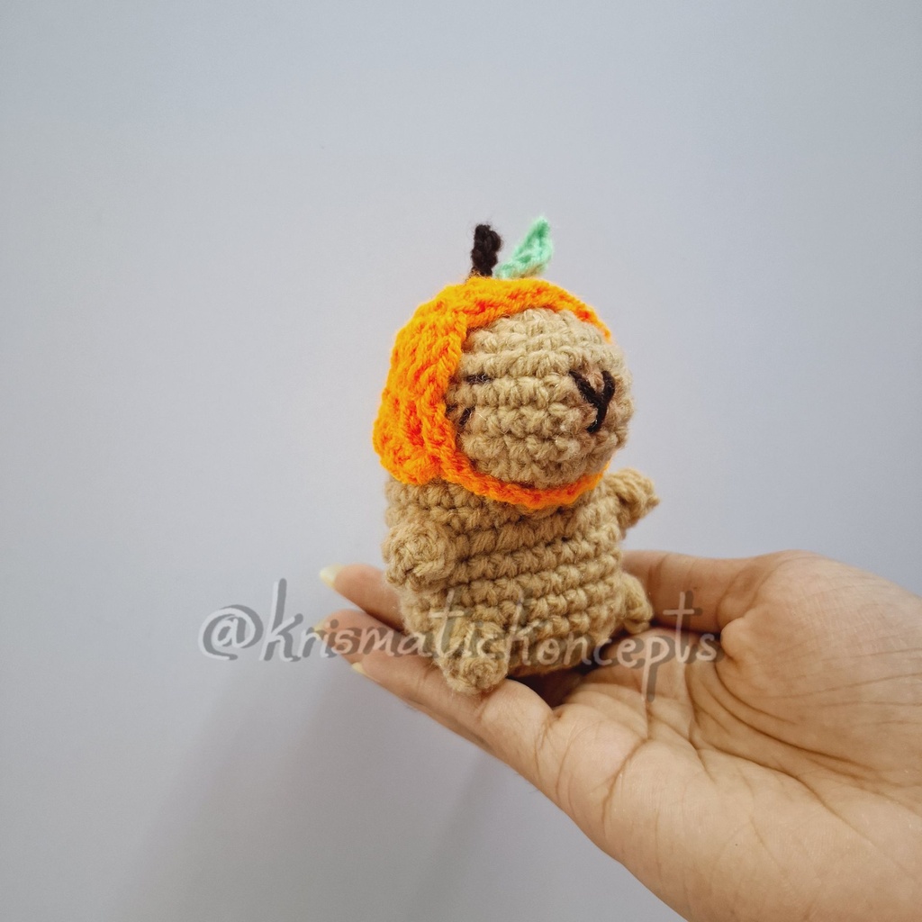 Capybara with Hat