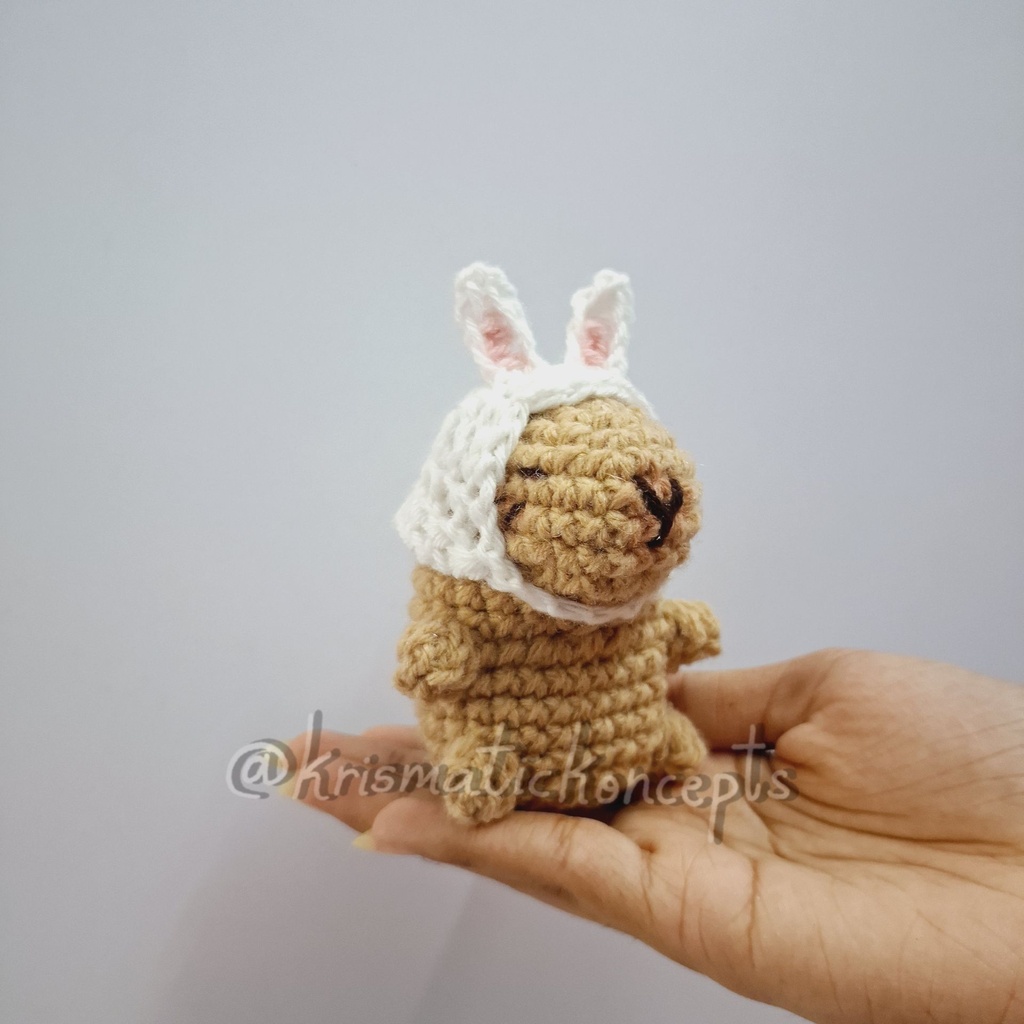 Capybara with Hat